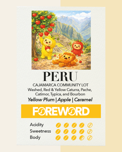 Peru Cajamarca Community Lot - Washed