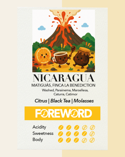 Nicaragua Finca La Benediction – Natural